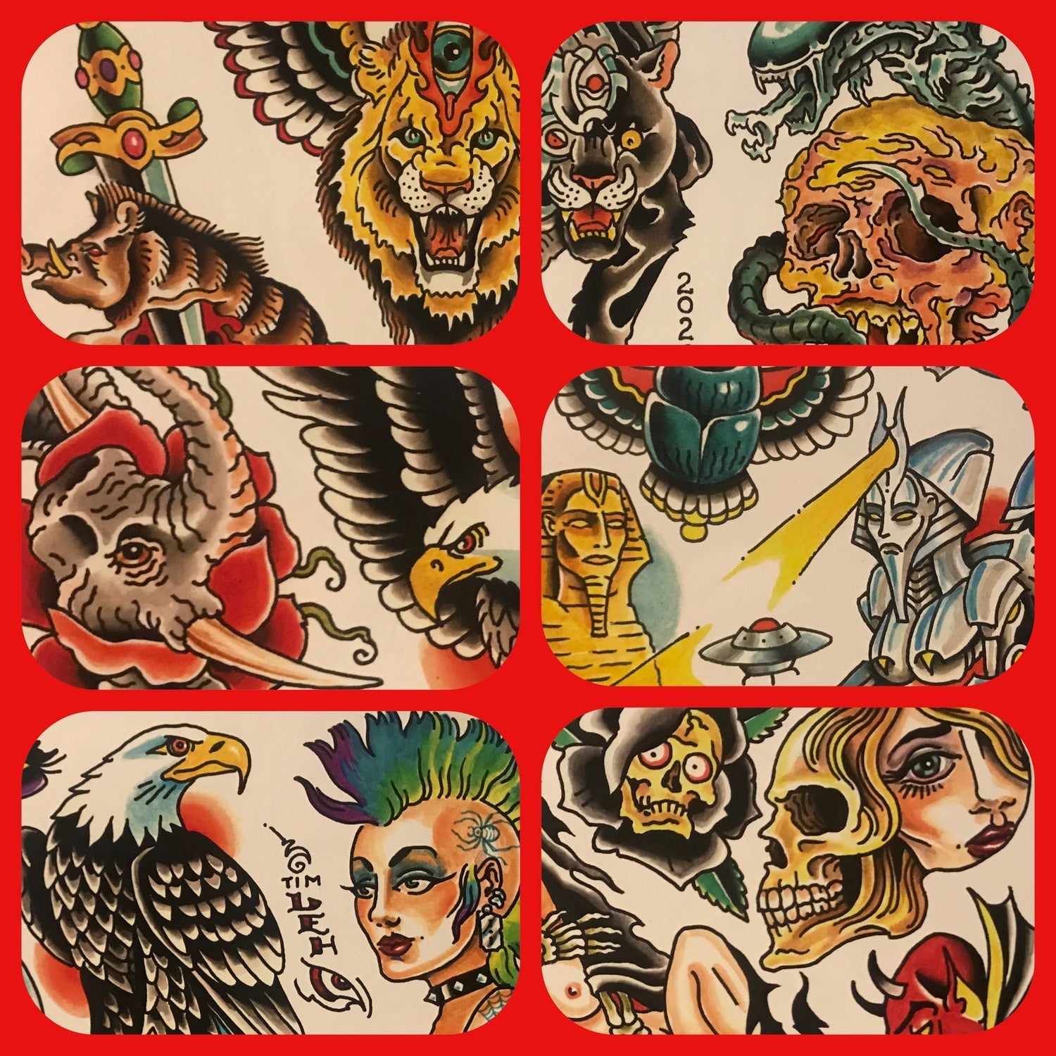 Tim Lehi Back in Black Flash Book and Flash Sets