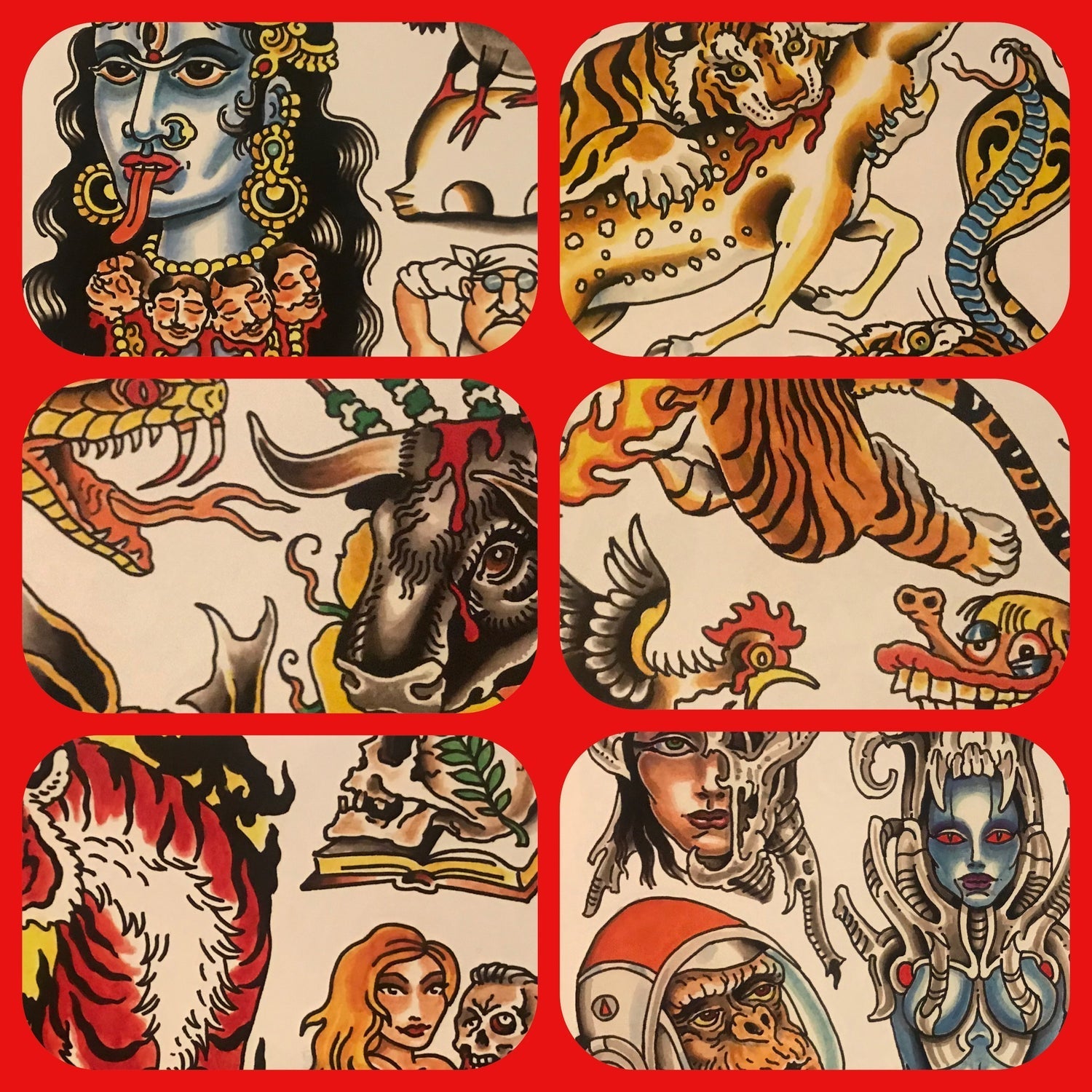 Tim Lehi Back in Black Flash Book and Flash Sets